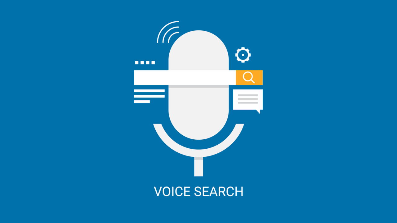 Voice
